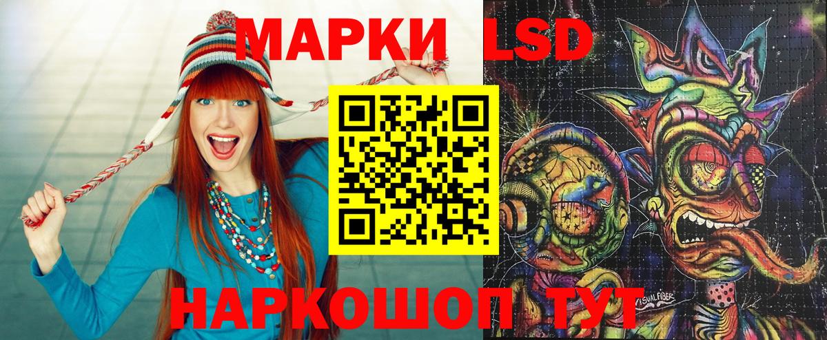 продажа наркотиков  Наркотические марки 1500мкг  Вход с VPN  Новотроицк  Наркотические марки 1500мкг 