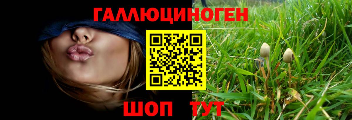 Псилоцибиновые грибы Psilocybine cubensis  Вход с VPN  Новотроицк 
