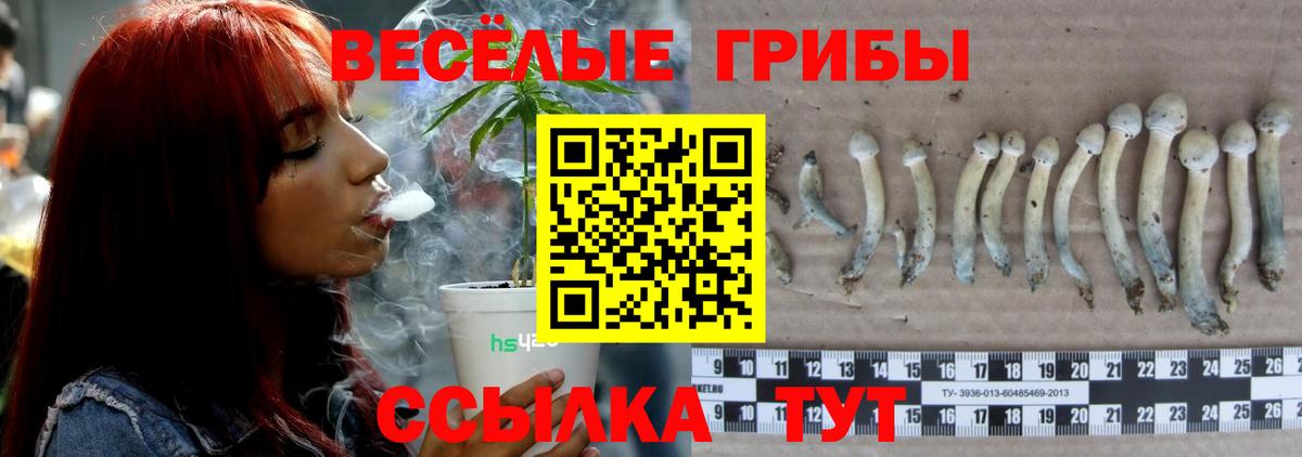 Галлюциногенные грибы GOLDEN TEACHER Новотроицк